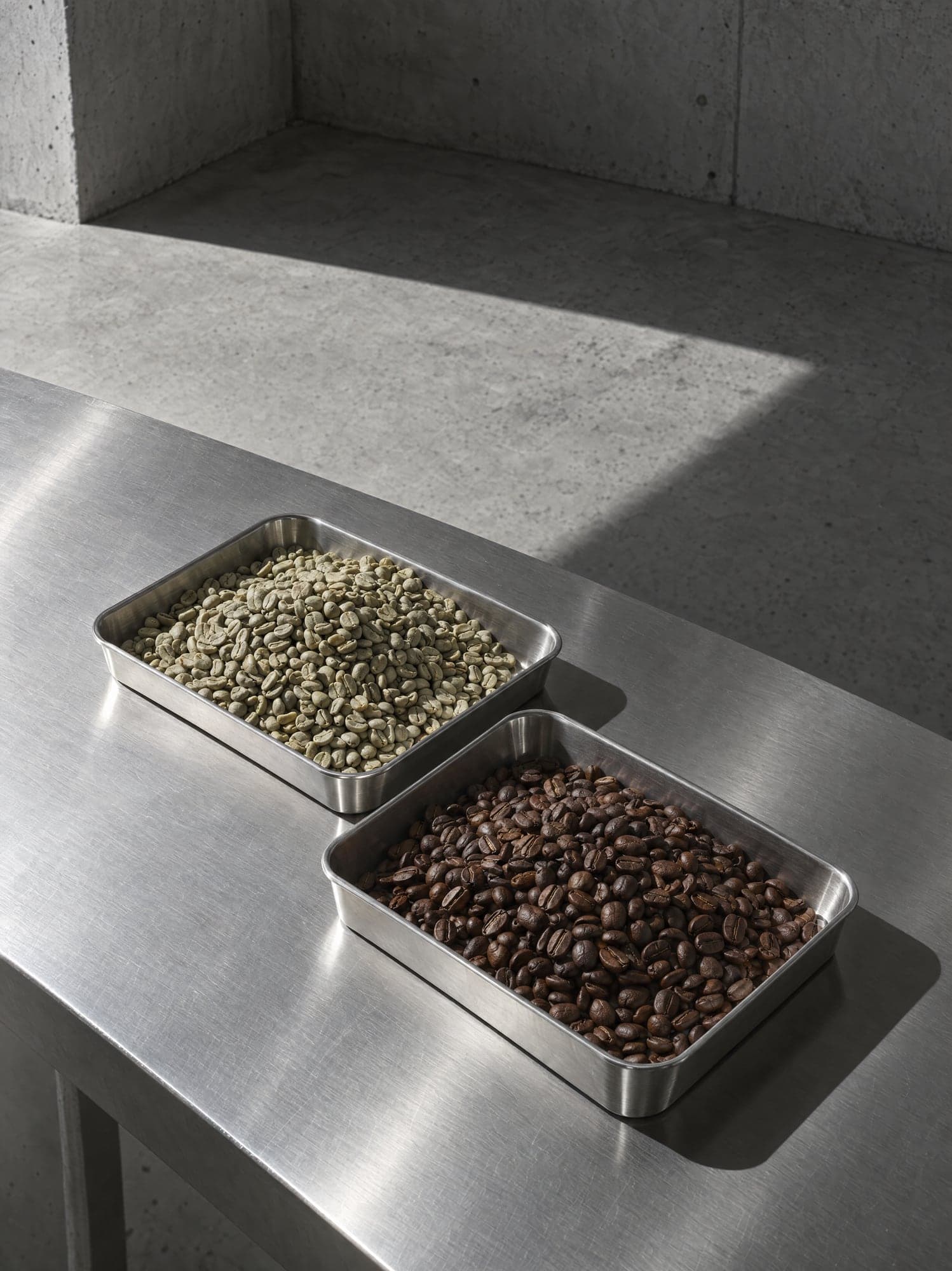 Green and roasted coffee in steel sample trays